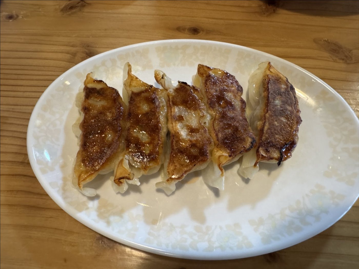 白い皿に並んだ焼きギョーザ5個